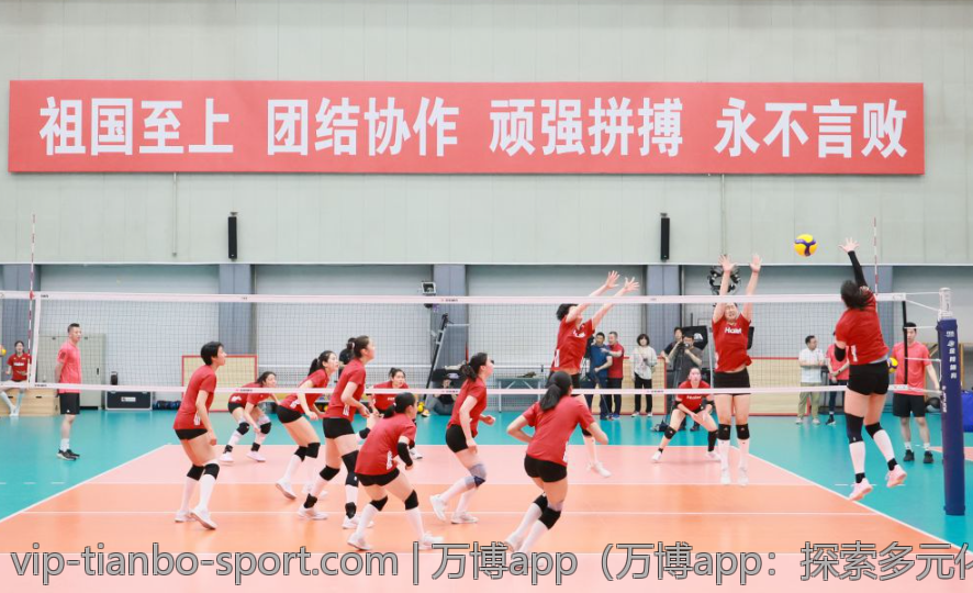 万博app（万博app：探索多元化的博彩市场）
